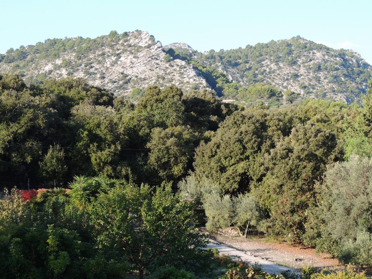 Villa Milagro - 3 Bedroom Finca Style Villa With Pool Near Golf Course/Beaches - Air Cond. Pollenca Bagian luar foto